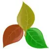 Plantassoc