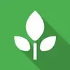 Planter