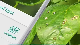 Plantix Preview screenshot