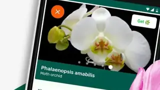PlantSnap screenshot