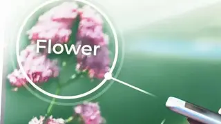 PlantSnap screenshot
