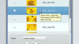 Plastiliq ImageResizer screenshot