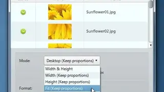 Plastiliq ImageResizer screenshot