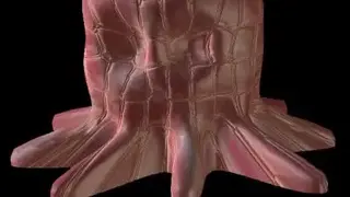 PlastiSketch screenshot
