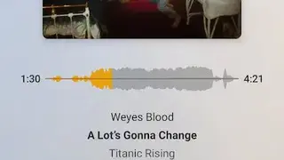 Plexamp screenshot