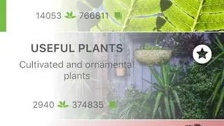 Pl@ntNet screenshot