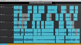 PluralEyes screenshot
