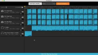 PluralEyes screenshot