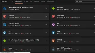 PluralSight screenshot