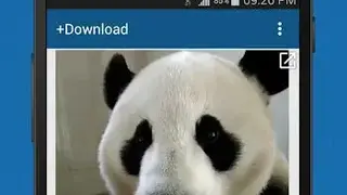 +Download 4 Instagram Twitter screenshot