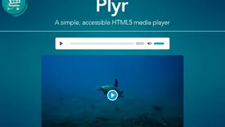 PLYR screenshot