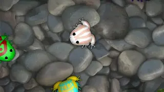 Pocket Frogs screenshot