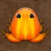 Pocket Frogs