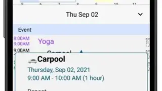 Pocket Informant screenshot