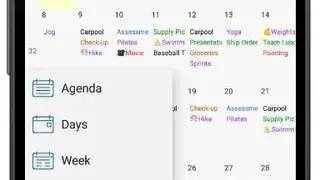 Pocket Informant screenshot