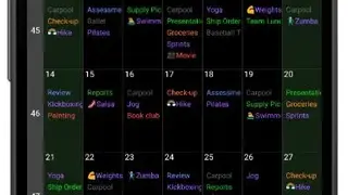 Pocket Informant screenshot