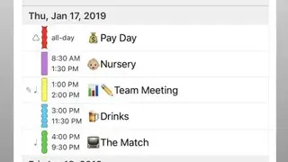 PocketLife Calendar screenshot