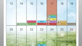 PocketLife Calendar screenshot