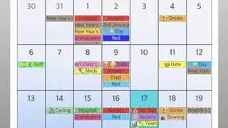 PocketLife Calendar screenshot