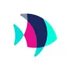 POF Free Dating App