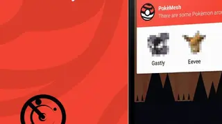 PokeMesh screenshot