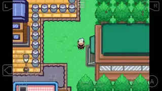 Pokémon Flora Sky screenshot