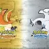 Pokémon HeartGold/SoulSilver