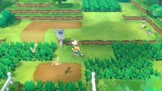 Pokemon: Let’s Go, Eevee! screenshot