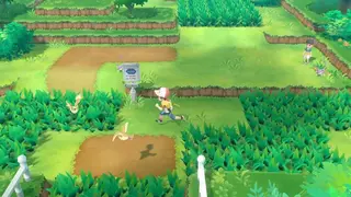 Pokémon: Let’s Go, Pikachu! screenshot