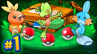 Pokemon Omega Ruby screenshot