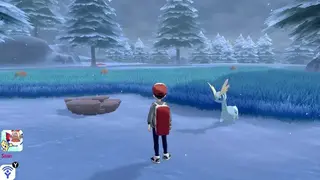 Pokémon Shield screenshot