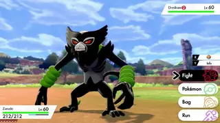 Pokémon Shield screenshot
