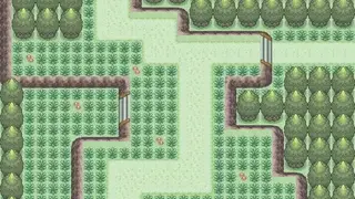 Pokemon Vortex screenshot
