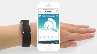 Polar Loop 2 screenshot