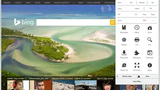 Polarity Browser screenshot