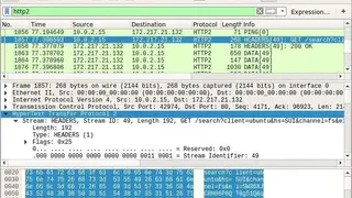 PolarProxy screenshot