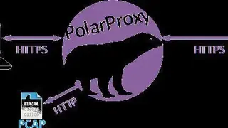 PolarProxy screenshot
