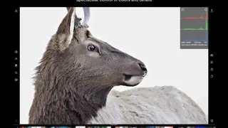 Polarr Photo Editor 3 screenshot
