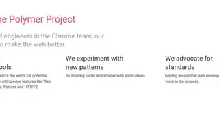 Polymer screenshot