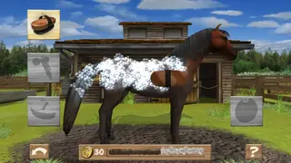 Pony Trails screenshot