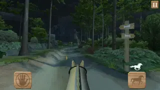Pony Trails screenshot
