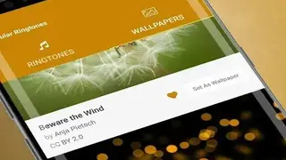 Popular Ringtones screenshot