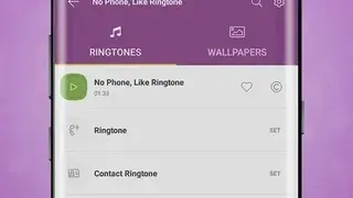 Popular Ringtones screenshot