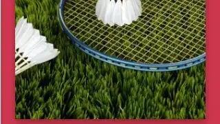 Popular sports Quiz screenshot