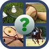 Popular sports Quiz