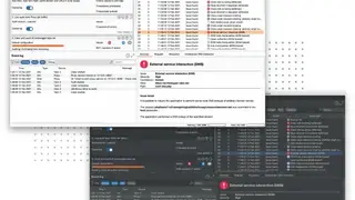 PortSwigger Burp Suite Professional screenshot