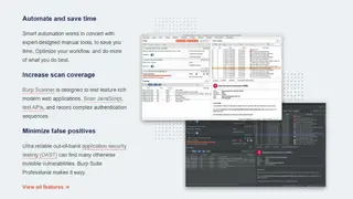 PortSwigger Burp Suite Professional screenshot