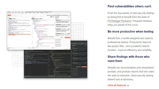 PortSwigger Burp Suite Professional screenshot