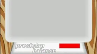 Precision digital scale screenshot