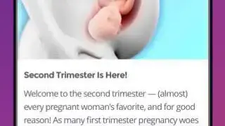 Pregnancy Tracker screenshot